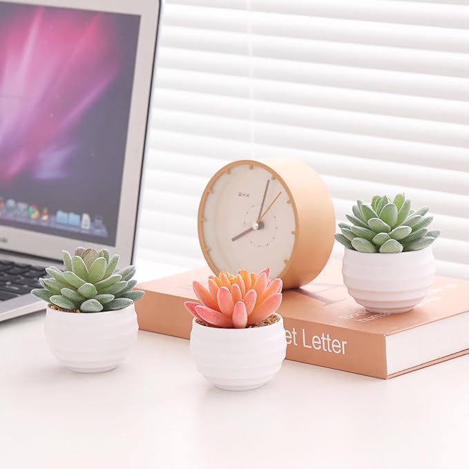Tiita Artificial Faux Succulents in Pots Fake Plants Ceramic Arrangement Planter for Women Desk Small Mini Tiny Decoration for Home Office Desk Window - Bloomnest