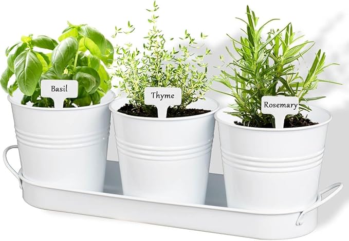vensovo Indoor Herb Planter Set - Galvanized Windowsill Garden Pots with Tray & Drainage, Set of 3 Metal Window Planters for Kitchen & Outdoor Use, White - Bloomnest