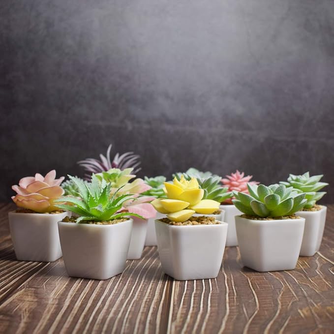 Tiita 24 Set Artificial Faux Succulents in Pots Fake Plants Plastic Arrangement Planter Small Mini Tiny Decoration for Home Office Desk Window Sill Bathroom Bedroom Outdoor Indoor - Bloomnest