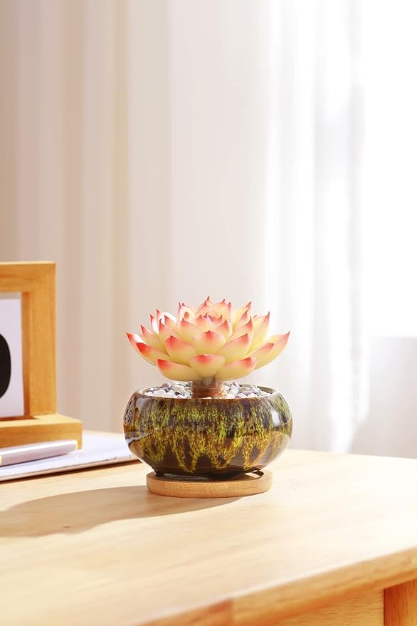 Cute Ceramic Succulent Garden Pots, Planter with Drainage and Attached Saucer, Set of 5 -Plants Not Included (Vivid Colors) - Bloomnest