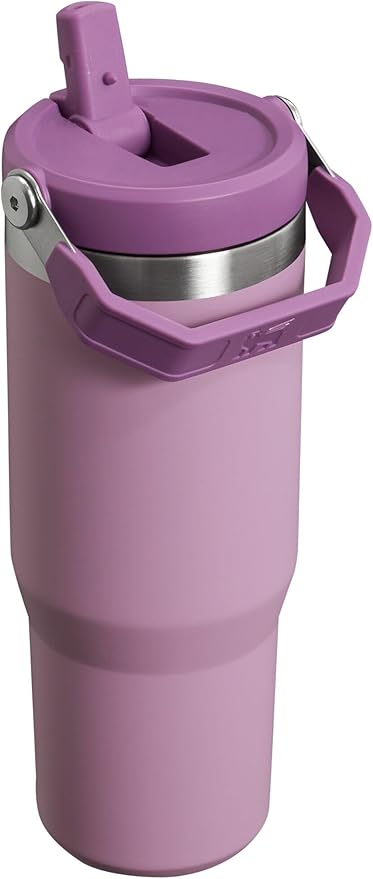 Stanley IceFlow Flip Straw Tumbler with Handle 30 oz | Twist On Lid and Flip Up Straw | Leak Resistant Water Bottle | Insulated Stainless Steel |BPA-Free | Lilac - Bloomnest