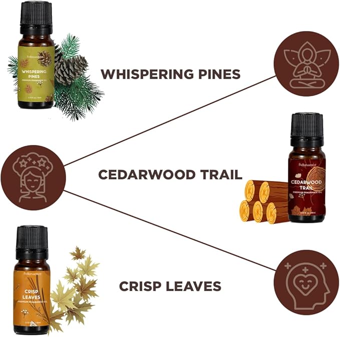 Folkulture Essential Oils for Home | Set of 6 (0.34 fl oz x 6) Fall Essential Oil or Diffuser Oils for Relaxation | Cedarwood Essential Oil or Fall Scents | Amber Oak Fall Essentials for Women - Bloomnest