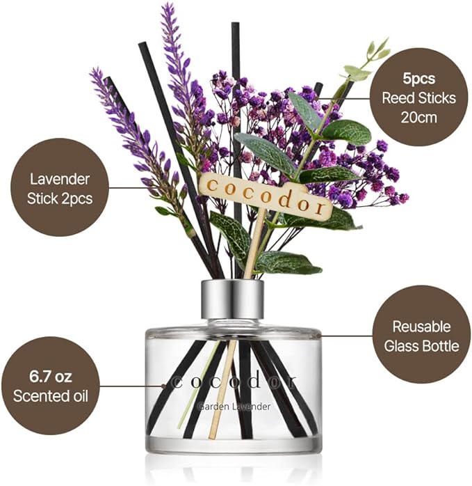 COCODOR Lavender Reed Diffuser/Black Cherry / 6.7oz(200ml) / 1 Pack/Home Decor & Office Decor, Fragrance and Gifts