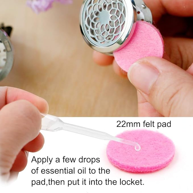 Car Diffuser Vent Clip - 2PCS 30mm Car Essential Oil Diffuser Vent Clips for Home Office Room with 12 Felt Pads Mother's Day, Birthday Gift for Women & Men - Bloomnest