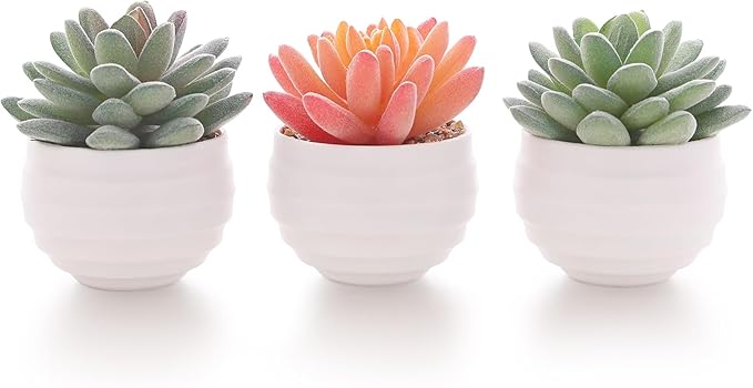 Tiita Artificial Faux Succulents in Pots Fake Plants Ceramic Arrangement Planter for Women Desk Small Mini Tiny Decoration for Home Office Desk Window - Bloomnest