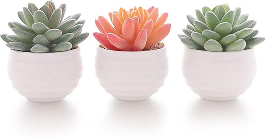 Tiita Artificial Faux Succulents in Pots Fake Plants Ceramic Arrangement Planter for Women Desk Small Mini Tiny Decoration for Home Office Desk Window - Bloomnest