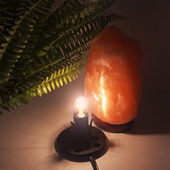 Himalayan Salt Lamp Cord, with Dimmer Switch ,Christmas Bulb,Salt Lamp Cord with Dimmer Control and Base Assembly,5 Feet ,E12 Base for Himalayan Salt Lampsand with six Free 15W Bulbs for Salt Lamp (1) - Bloomnest