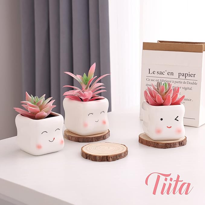 Tiita Cute Artificial Faux Succulents in Pots, Pink Fake Plants Ceramic Arrangement Planter Small Mini Tiny Decoration for Home Office Accessories Women Desk Window Sill Bathroom Bedroom - Bloomnest