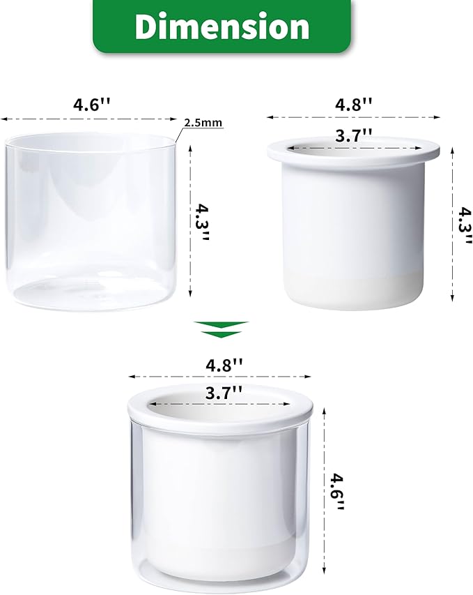 Phoenix Vine 4 Inch Self Watering Planter Pot, Design White Terracotta Pots for Plants, Indoor Cylinder Terra Cotta Pots with Glass Vase, Set of 4, 51-B-E-4 - Bloomnest