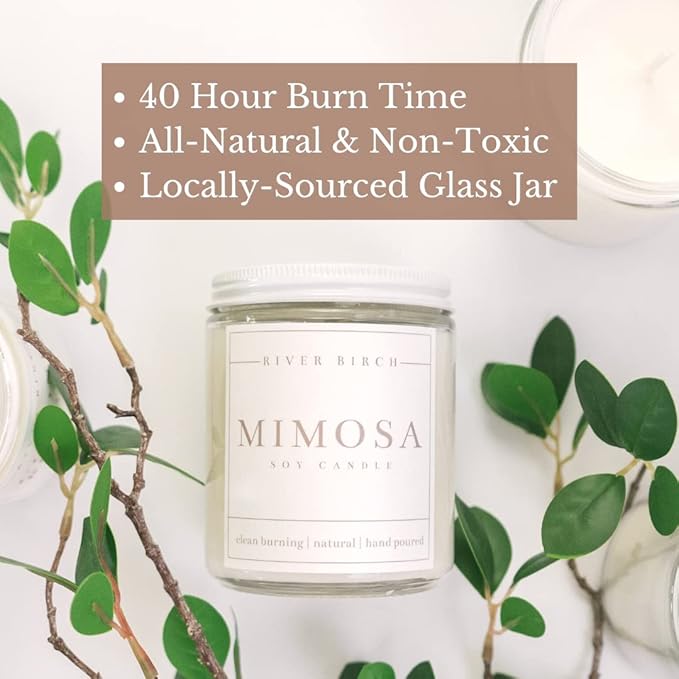 River Birch Candles Mimosa Scented Candle | Premium, All-Natural, Non-Toxic, Soy Candles | 8.5oz 40 Hr Burn Time | Cozy Relaxing Gifts for Home - Bloomnest