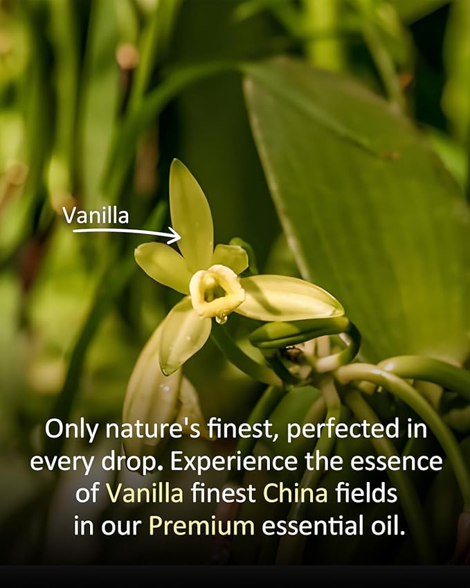 Vanilla Essential Oil for Diffuser & DIY, 100% Pure Natural Vanilla Oil, Warm Soft Scent, Large 4 fl oz for Candle Making, Soap, Perfume, Room Aroma, Adjustable Intensity, Glass Dropper Airoomoil