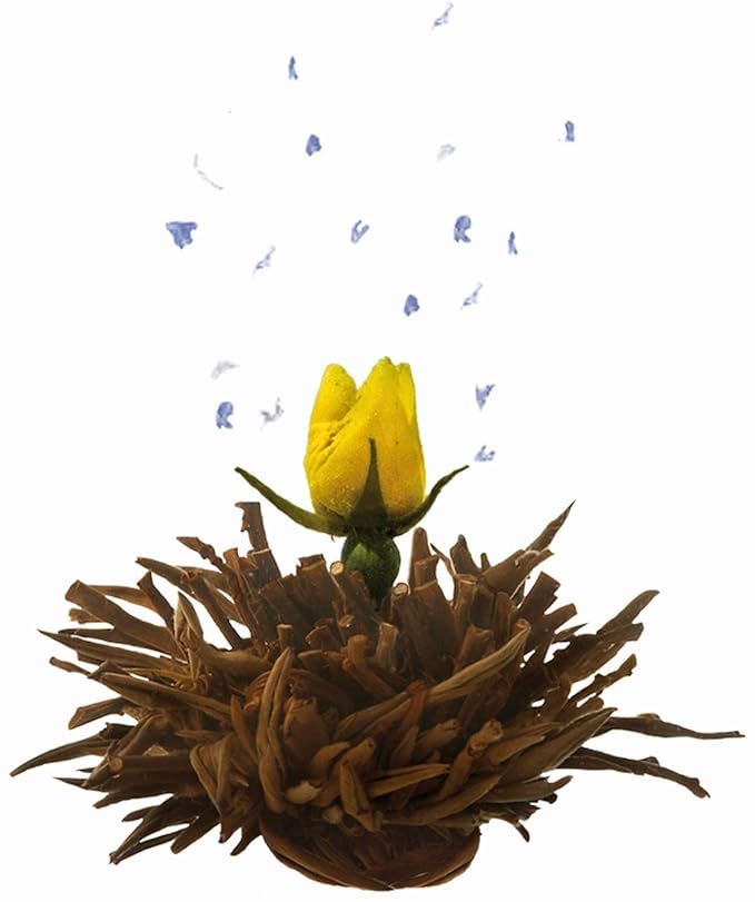 Creano Abloom Tea - Blooming Gift Set in Wooden Box - 12 Pieces in 3 Variations, Black - Bloomnest