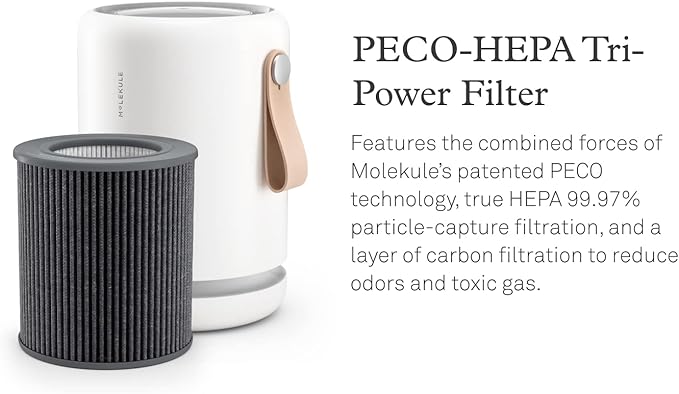 Molekule Air Purifier Mini+ - Purifies Rooms Up to 250 Sq Ft - Smart Purifier with High Pollutant Capture Rate - Air Quality Monitoring Capabilities - White - Bloomnest