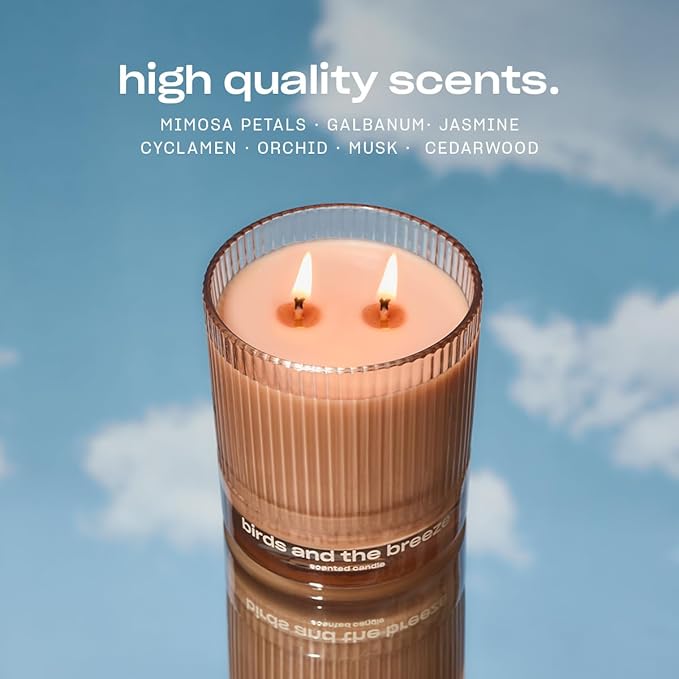 Birds and The Breeze Luxury Scented Candle by Snif, Light and Airy Scent, 50+ Hours, 100% Cotton Fiber Wicks, Soy Wax Blend, Non-Toxic, Vegan, 8.5 oz… - Bloomnest