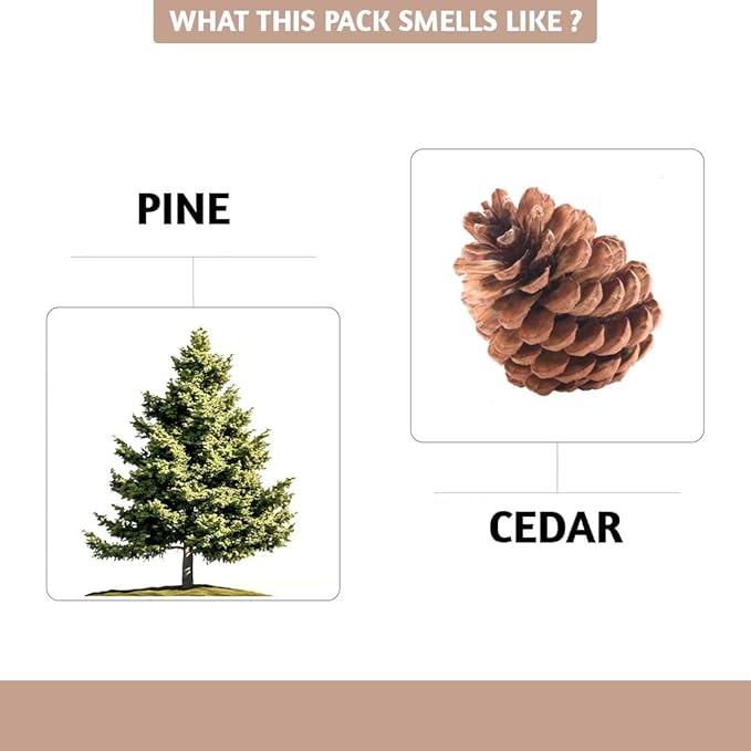 Folkulture Incense Cones for Waterfall | 20 Pc Incense Cone Scented | 2 Fragrance Cone-Insenses - Pine & Cedar | Natural, Non Toxic | Pine & Cedar Inscents-Cones | Relaxing, Meditation, Spiritual