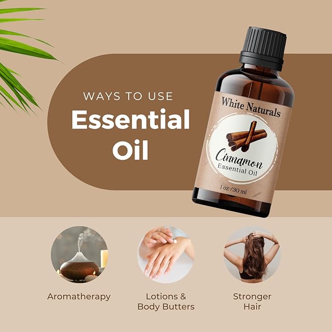 Cinnamon Essential Oil, 100% Pure Natural Organic Aromatherapy Oil for Diffuser/Humidifier, Steam Distilled, Therapeutic Grade, Perfect for Relaxation, Hair & Skin Care, DIY Soap & Candle Making - Bloomnest