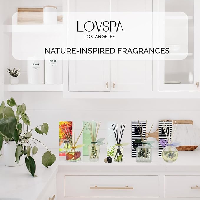 LOVSPA Reed Diffuser Set, Spiced Pomander Orange Cinnamon Scented Oil Diffuser with Sticks, Home Fragrance Accessories for Bathroom Shelf Decor, Aroma Diffusers for Home or Office Desk, USA Made