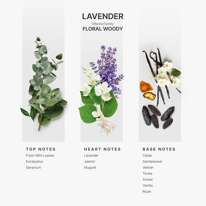 AromaPlan Hotel Scents Lavender 16 Fl Oz (473ml), Home Luxury Aroma & Diffuser Oil for Aromatherapy - USA Made, Bigger Bottle, Bolder Aroma & Longer Lasting - Bloomnest