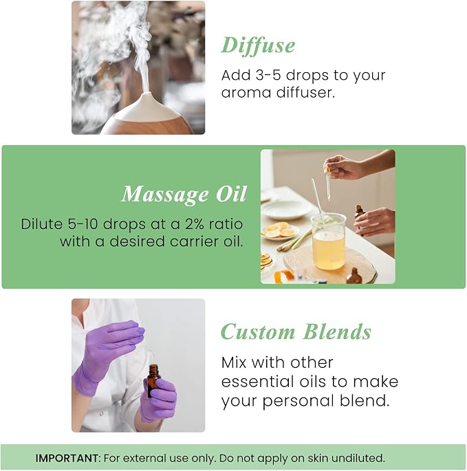 Handcraft Blends Basil Essential Oil – Huge 4 Fl Oz – 100% Pure and Natural – Premium Grade Essential Oil for Diffuser and Aromatherapy, Skin, Massage, Candle and Soap Making Fragrance - Bloomnest