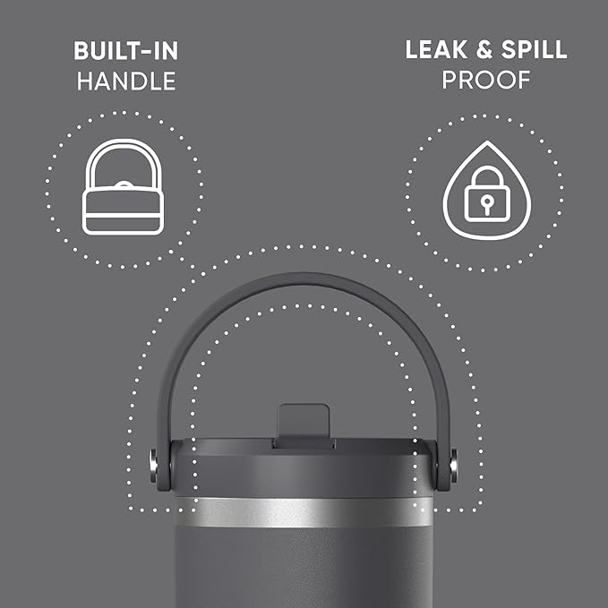 Hydrapeak Nomad 32 oz Tumbler with Handle and Straw Lid, Leakproof, Double Insulated, 32oz Cup, Stainless Steel | Grey Matter - Bloomnest