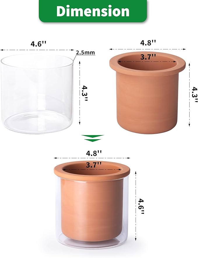 Phoenix Vine 4 Inch Self Watering Plants Pot, Design Terracotta Pot for Plants, Indoor Cylinder Terra Cotta Planter with Glass Vase, Set of 1, 51-A-E-1 - Bloomnest