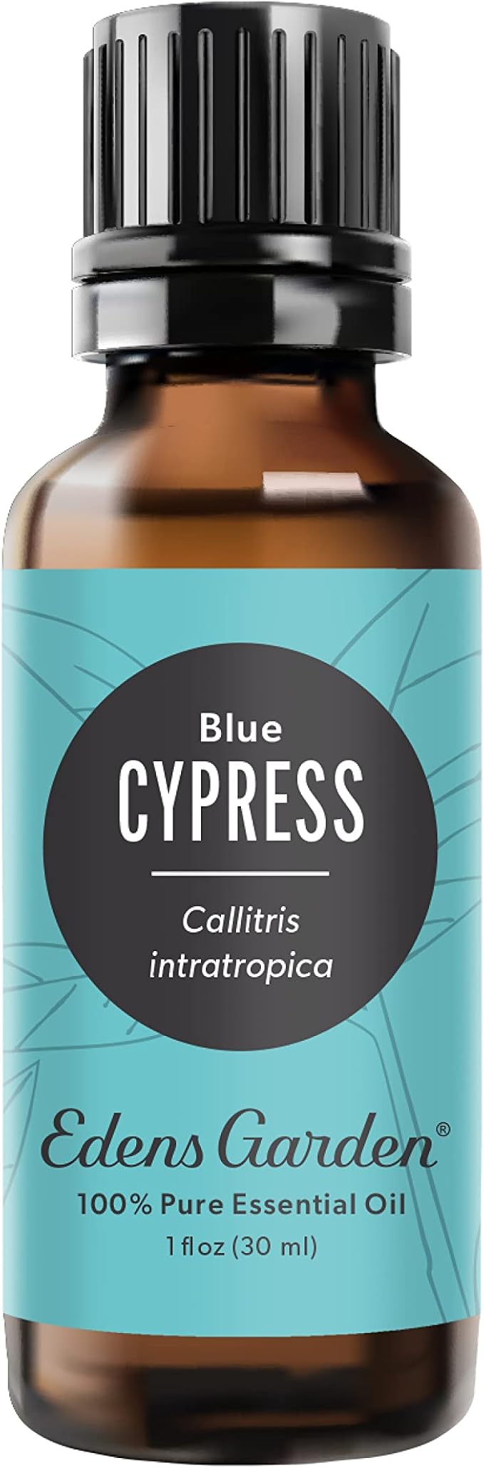 Edens Garden Cypress- Blue Essential Oil- 100% Pure Premium Grade, Undiluted, Natural, Therapeutic, Aromatherapy, The Best for Diffuser, Skin, Candle, Kid Safe 30 ml (1 fl oz) - Bloomnest