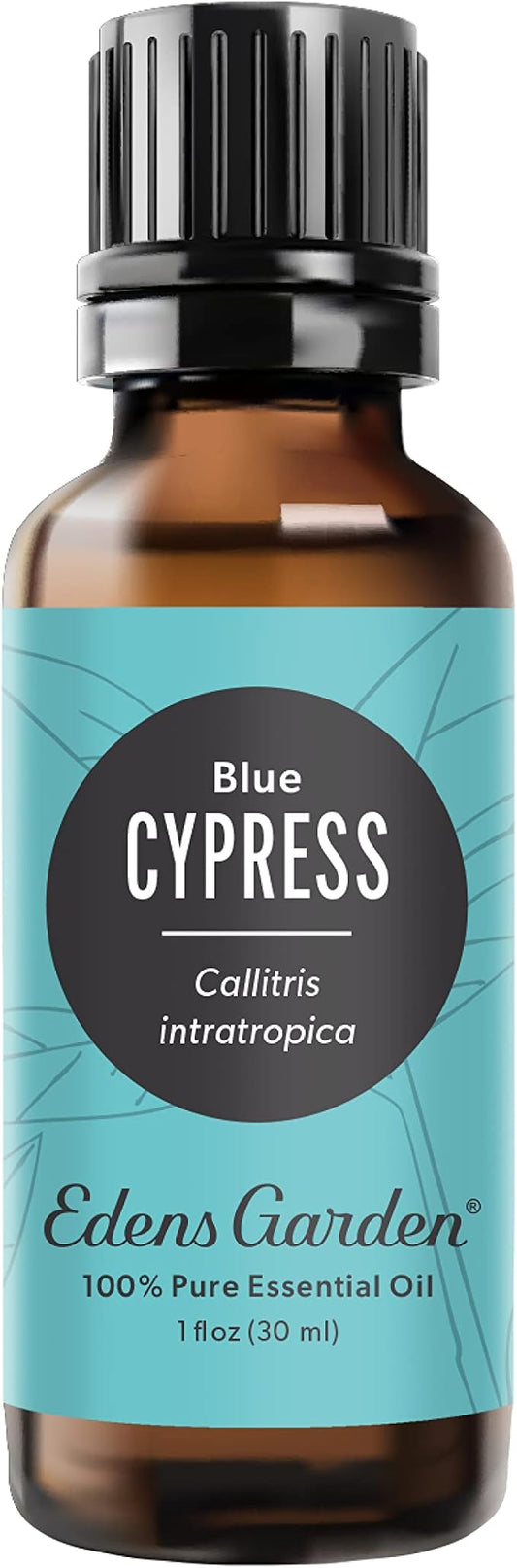 Edens Garden Cypress- Blue Essential Oil- 100% Pure Premium Grade, Undiluted, Natural, Therapeutic, Aromatherapy, The Best for Diffuser, Skin, Candle, Kid Safe 30 ml (1 fl oz) - Bloomnest