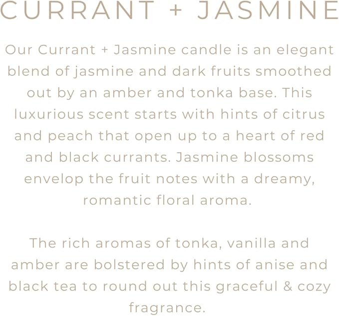 River Birch Candles Currant Jasmine Scented Candle | Premium, All-Natural, Non-Toxic, Soy Candles | 16oz 90 Hr Burn Time | Cozy Relaxing Gifts for Home - Bloomnest