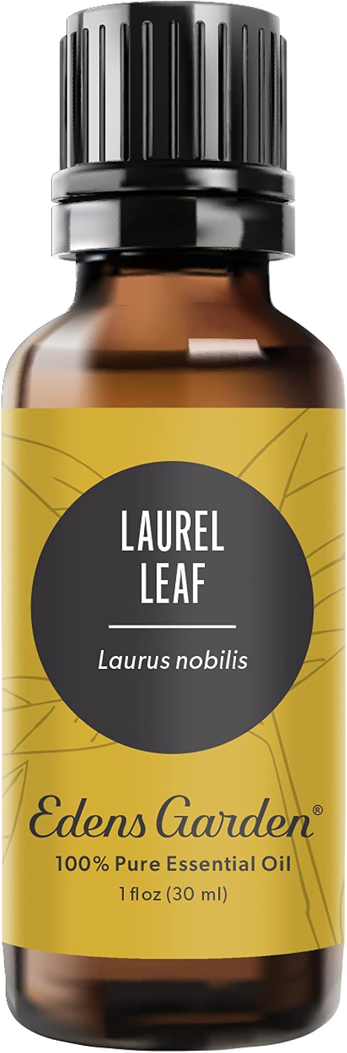Edens Garden Laurel Leaf Essential Oil- 100% Pure Premium Grade, Undiluted, Natural, Therapeutic, Aromatherapy, The Best for Diffuser, Skin, Candle, Humidifiers 30 ml (1 fl oz) EdensGarden