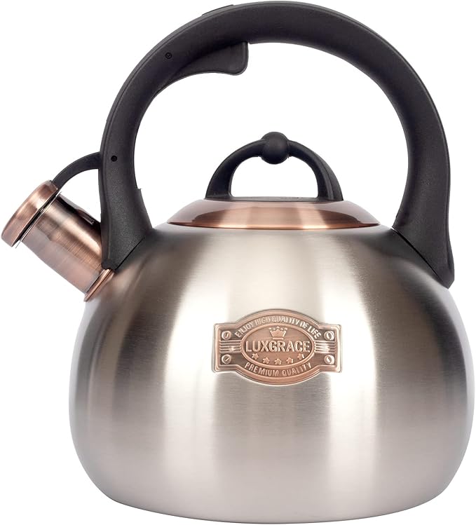 3.1 Quart Teal Whistling Tea Kettle for Stove Top, Food Grade Stainless Steel - Bloomnest