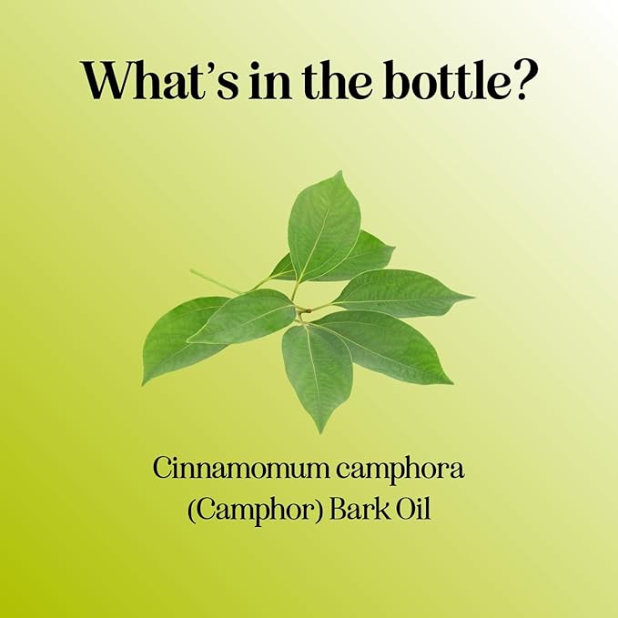Pure Undiluted Camphor Essential Oil - 100% Pure Camphor Oil for Aromatherapy and Beauty DIYs Great for Soothing Skin and Clearing Chest - Outdoor Diffuser Oil for Patios and Porches (4 Fl Oz) - Bloomnest