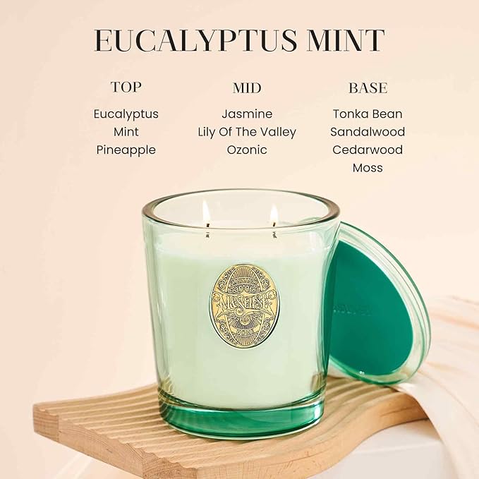 M&SENSE Large Two-Wick Aromatherapy Soy Candle | Eucalyptus Mint & Blue | 19.8 oz, 120H Burn Time | Luxury Scented Candle for Relaxation, Gifting, Home Décor | Ideal for Bedroom, Office - Bloomnest