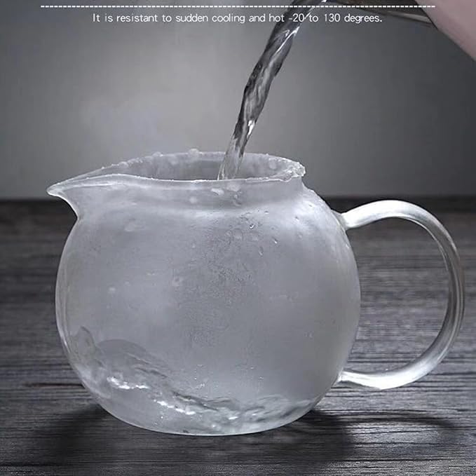 Glass Teapot with Removable Infuser Stovetop & Microwave Safe Borosilicate Clear Glass Teapot (22OZ) - Bloomnest