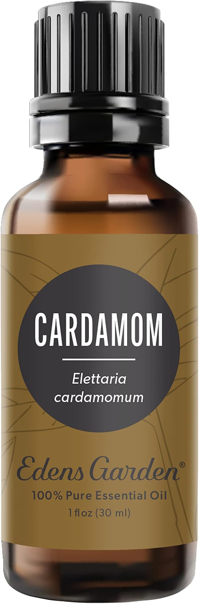 Edens Garden Cardamom Essential Oil- 100% Pure Premium Grade, Undiluted, Natural, Therapeutic, Aromatherapy, The Best for Diffuser, Skin, Laundry, Humidifiers 30 ml (1 fl oz) EdensGarden