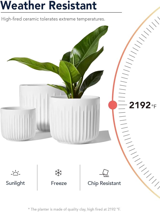 LE TAUCI Fluted Ceramic Planters Set of 3 – 8.3/7 / 5.7 in White Cylinder Indoor Plant Pots with Drainage Plug & Mesh, Matte Glazed Stoneware Flower Pots for Succulent Herb Cactus - Bloomnest