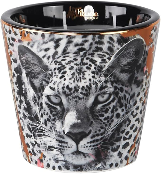Scented Candle | Eco-Friendly Soy Blend Wax | Luxury Candles | Perfect for Gifting | Perfect for Home Décor | 14oz | 10cm Tall | Approx Burn Time - 80 Hours (Savannah Nights, 10cm) - Bloomnest