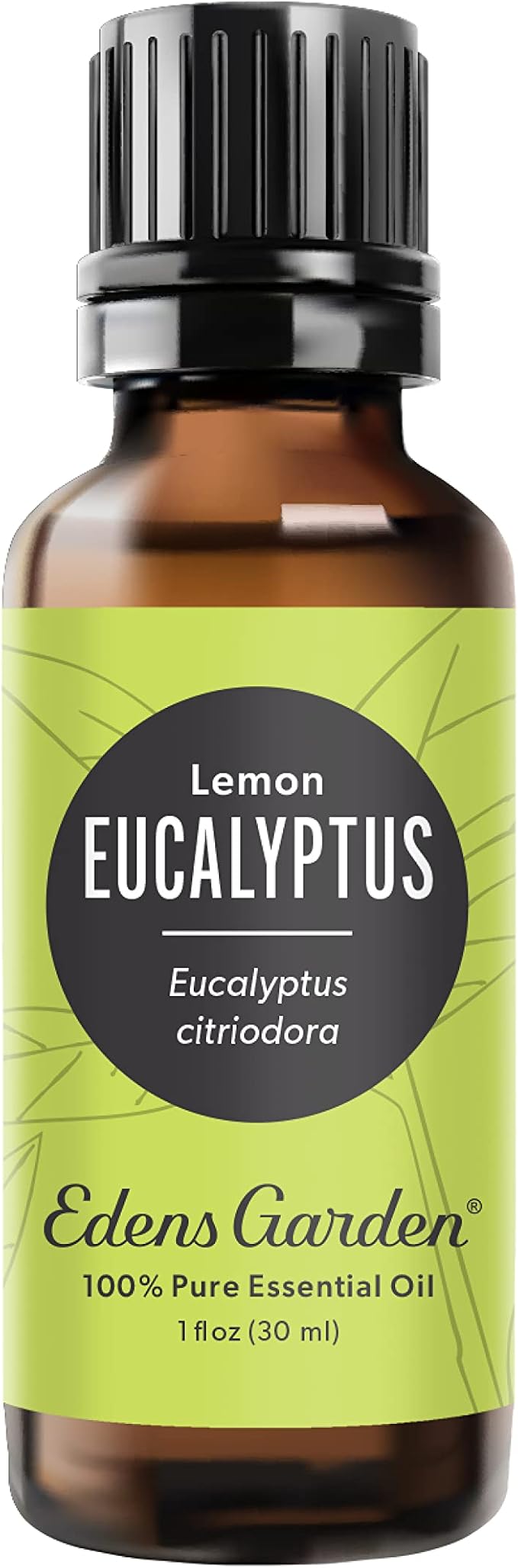 Lemon Eucalyptus 100% Pure Therapeutic Grade Essential Oil - 30 ml - Bloomnest