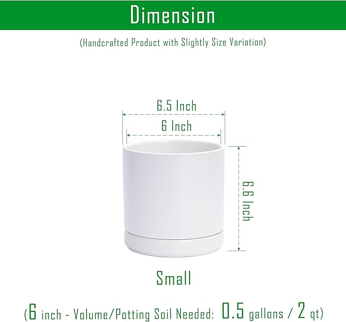 D'vine Dev Set of 2 Plants Pots, 6.5 Inch Ceramic Planter Pot for Plants with Drainage Hole and Saucer, White, 94-V-C-1 - Bloomnest