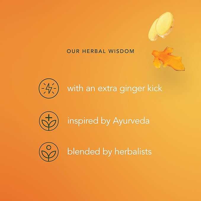 Pukka Three Ginger Organic Herbal Tea, Digestion-Aiding Infusion With Ginger, Turmeric, and Galangal, Tea Gift Set Ideal After Meals, Caffeine Free, 80 Total Bags (20ct - Pack of 4) - Bloomnest