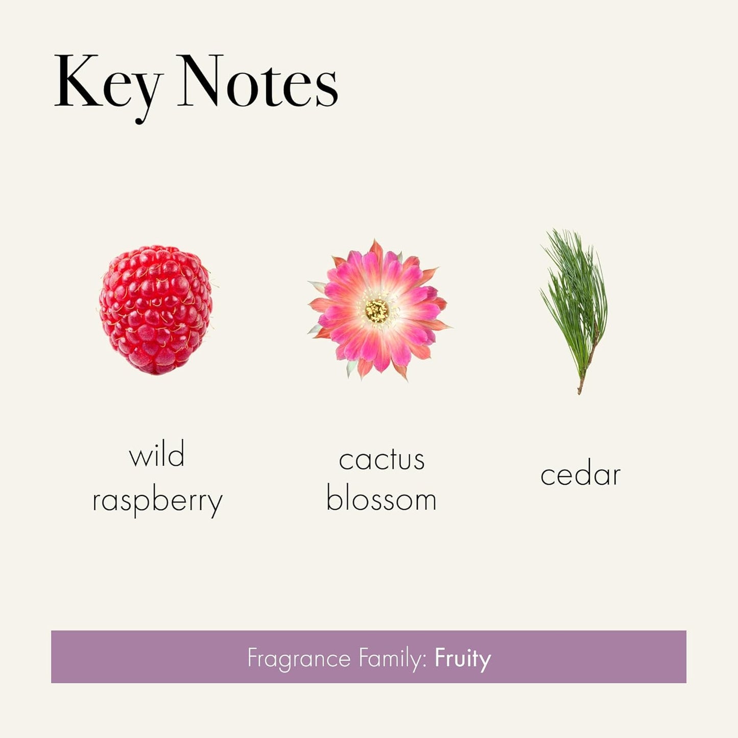 LAFCO New York Signature Candle, Midnight Cactus - 15.5 oz - 90-Hour Burn Time - Reusable, Hand Blown Glass Vessel - Made in The USA