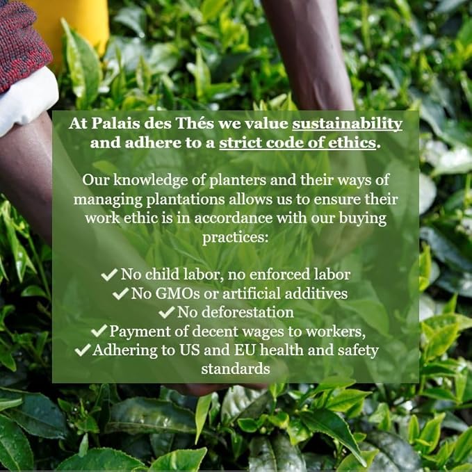 Palais des Thés Green Tea - Organic Sencha Ariake Blend - Premium Japanese Green Tea Bags, Serves 20 Cups - Bloomnest