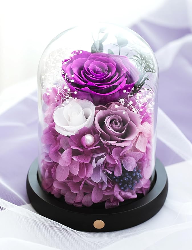 FIACO Gifts for Women Preserved Rose Forever Flower in Glass Dome Fresh Flowers for Delivery Prime Mothers Day Birthday Gifts for Mom Grandma Wife Sister Purple Roses - Bloomnest