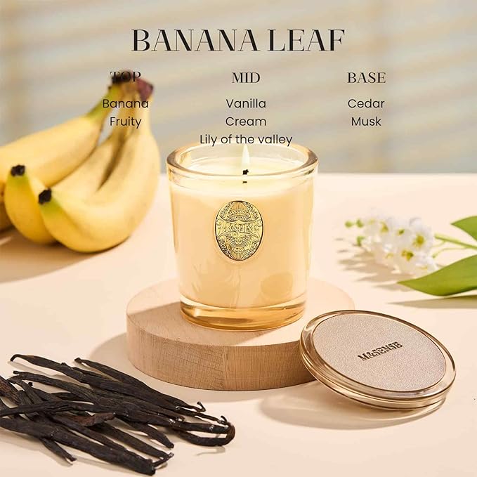 M&SENSE Natural Soy Candle | Banana Leaf & Gold | 9.2 oz, 50H Burn Time | Luxury Scented Candle for Relaxation, Gifting, Home Décor | Ideal for Bedroom, Office, Party Ambiance - Bloomnest