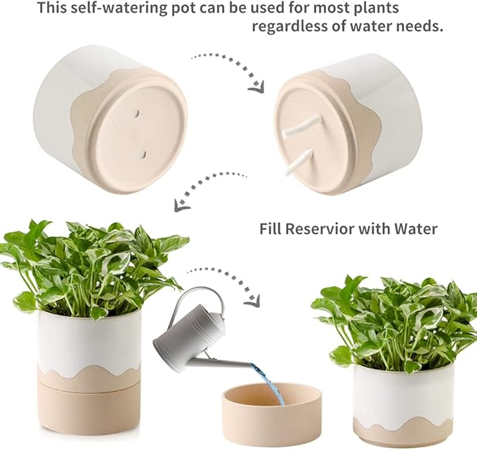 Nihow Self Watering Plant Pot: 6 Inch Ceramic Planter with Drainage Hole & Water Storage Plus for Indoor & Outdoor Plants - Cylinder Round Flower Pot for Succulent/Herbs/Violets - White & Nature - Bloomnest