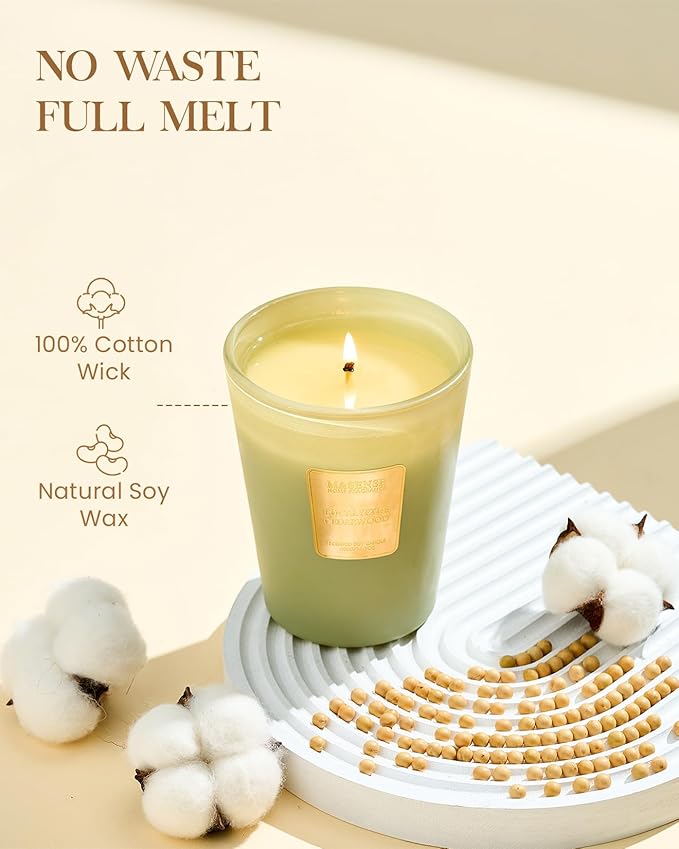 M&SENSE Eucalyptus Cedarwood Scented Natural Soy Wax Candle, 14.1oz 60 Hours Long Lasting Slow Burning, Aromatherapy Candle for Stress Relief Home Decor - Bloomnest