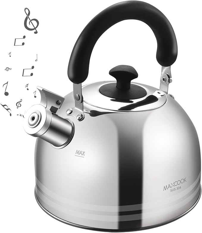 Whistling Tea Kettle for Stovetop, 5L Stainless Steel Tea pot Kettles,Striped frosted water pot, Large kettle teapot with Cool Touch Ergonomic Handle(Mirror Polish) - Bloomnest