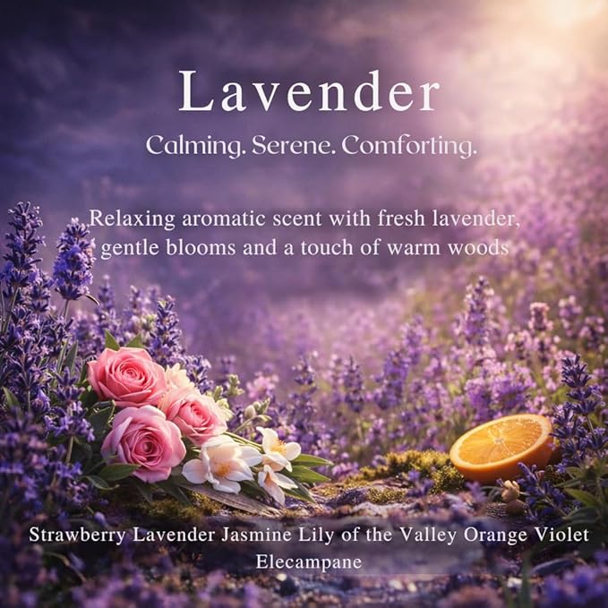 Car Air Freshener Refill for Smart Car Diffuser, 3 x 10ml Fragrance Oil Refills, Vent Clip Compatible, Long Lasting Car Diffuser Refill (Lavender) - Bloomnest