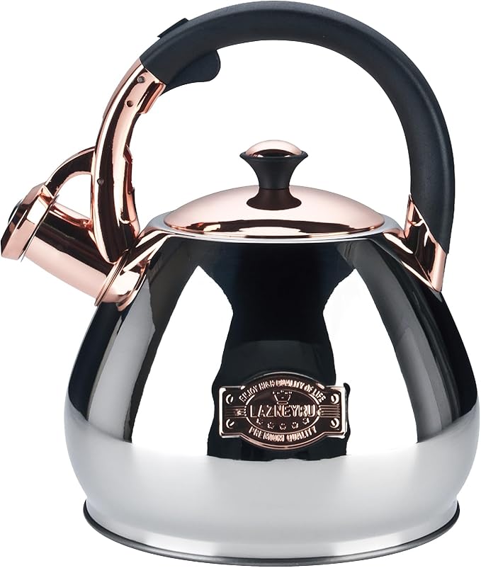 Tea Kettle Stovetop Whistling Kettle Teapot, 3Quart Tea Pot Stainless Steel Teakettle for Stove Top with Heat Proof Ergonomic Handle - Bloomnest