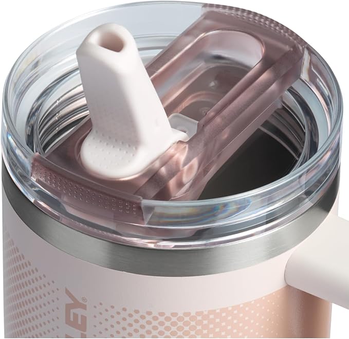 STANLEY Quencher ProTour Flip Straw Tumbler with Leakproof Lid | Built-In Straw & Handle | Cupholder Compatible for Travel | Insulated Stainless Steel Cup | BPA-Free