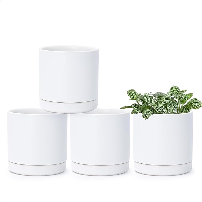 D'vine Dev Set of 4 Small Ceramic Plant Pots, 3.5 Inch Succulent Planter Pot for Plants with Drainage Hole and Saucer, White, 94-X-A-1 - Bloomnest